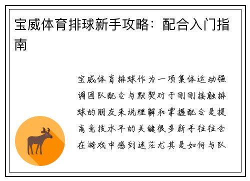 宝威体育排球新手攻略：配合入门指南