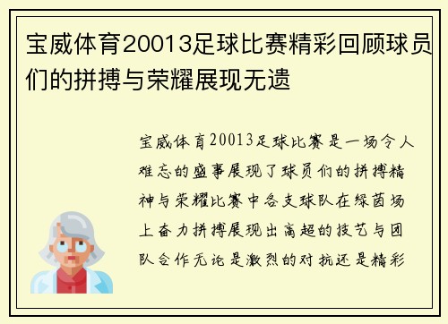 宝威体育20013足球比赛精彩回顾球员们的拼搏与荣耀展现无遗