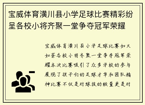 宝威体育潢川县小学足球比赛精彩纷呈各校小将齐聚一堂争夺冠军荣耀